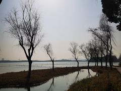-渤公岛生态公园