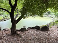 -堤角公园