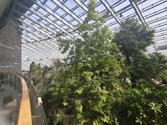 -济南植物园
