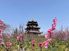 -上海海湾国家森林公园