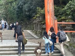 -奈良公园