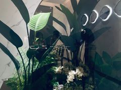 -松鹤楼·苏式汤面(虹桥天地店)