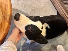 -自由生长植物工作室(深港花卉中心店)