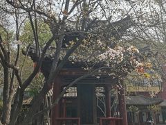 -碑林公园