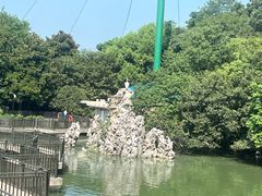 -合肥野生动物园