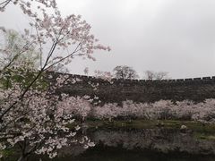 -南京城墙景区