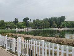 -长春市南湖公园