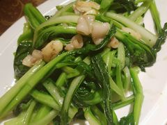 广东菜心-博望坡酒楼(漕溪路店)