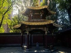 -护国法轮寺