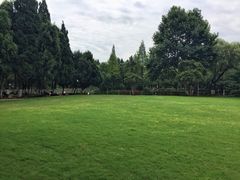 -瀛洲公园