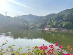 -广州市帽峰山景区