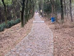 -雨花胜境