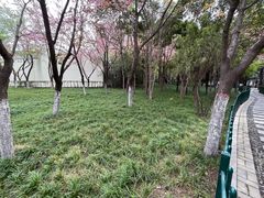 -西安市长乐公园