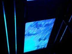 -海洋公园海洋列车－海滨站