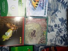 -上海昆虫博物馆