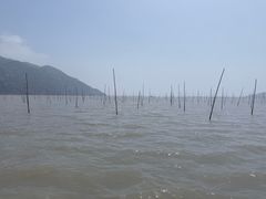 -北岐滩涂