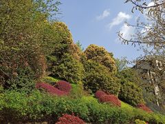 -南山植物园