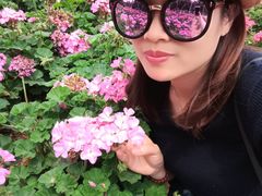 -松山湖梦幻百花洲