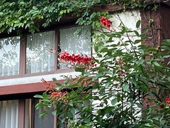 -水底山庄园温泉