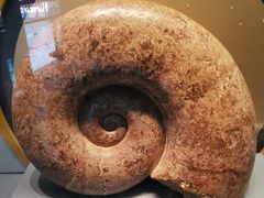 -湖南省地质博物馆