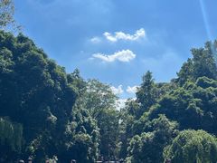 -灵谷景区