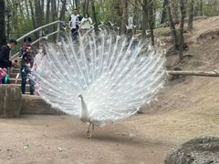 -哈尔滨北方森林动物园