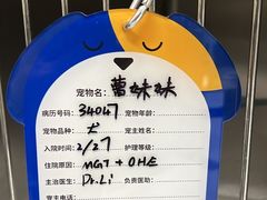 -顽皮家族宠物医院(浦东北园路分院)