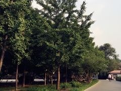 -长辛店二七公园