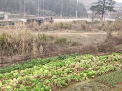 -三特浪口温泉精品酒店