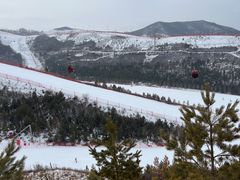 -富龙滑雪场