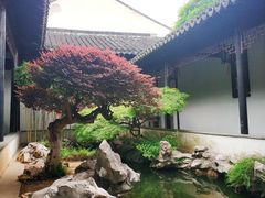 -随柳居·苏式小吃(建新巷店)