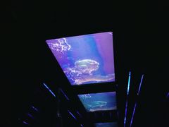 -海洋公园海洋列车－海滨站