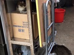 -公利真料竹蔗水(中环店)
