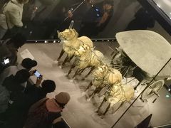 -秦始皇帝陵博物院-丽山园