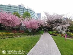 -北外滩滨江绿地