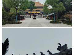 -西安大兴善寺