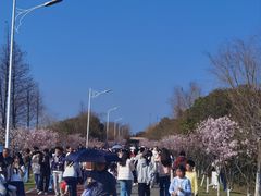 -艾溪湖湿地公园