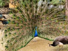 -动物园(地铁站)