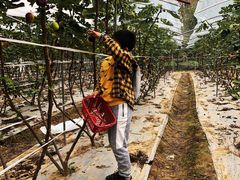 -武汉世外桃源农庄