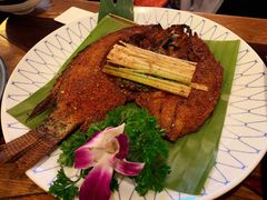 -紫滇源云南生态菜(丹凤街店)