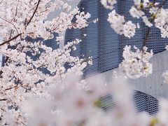 -龙美术馆(西岸馆)