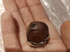 -粒上皇(悦荟广场店)