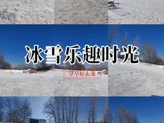 -1982农场