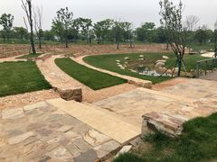 -盘龙城国家考古遗址公园