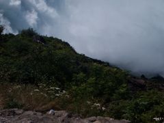 -尼亚加拉瀑布州立公园