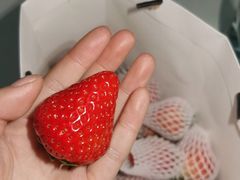 -菜园坝水果市场