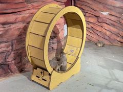 -正佳雨林生态植物园