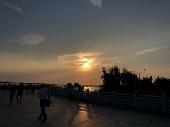 -宝安西湾红树林湿地公园