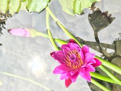 -台山颐和温泉城