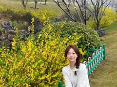 -羊山湖公园
